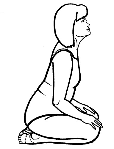 Иллюстрация к книге — Йога для всех. Путь к здоровью [i_225.jpg]