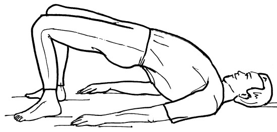 Иллюстрация к книге — Йога для всех. Путь к здоровью [i_230.jpg]