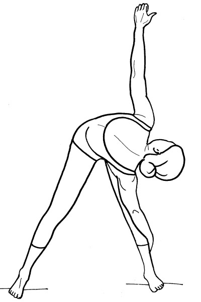 Иллюстрация к книге — Йога для всех. Путь к здоровью [i_235.jpg]