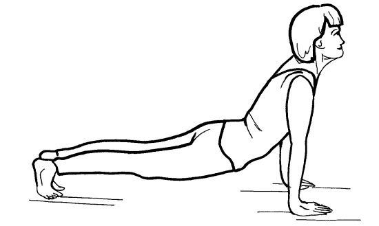 Иллюстрация к книге — Йога для всех. Путь к здоровью [i_237.jpg]