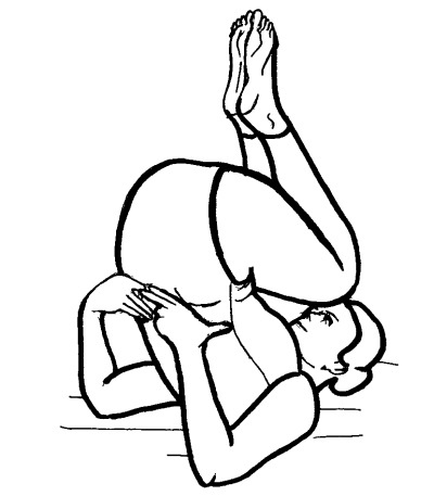 Иллюстрация к книге — Йога для всех. Путь к здоровью [i_245.jpg]