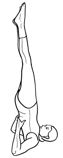 Иллюстрация к книге — Йога для всех. Путь к здоровью [i_246.jpg]