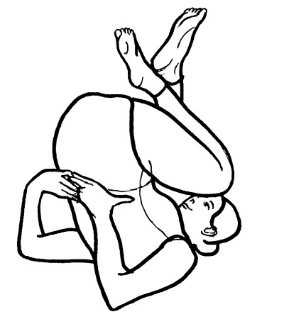 Иллюстрация к книге — Йога для всех. Путь к здоровью [i_247.jpg]