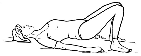 Иллюстрация к книге — Йога для всех. Путь к здоровью [i_248.jpg]