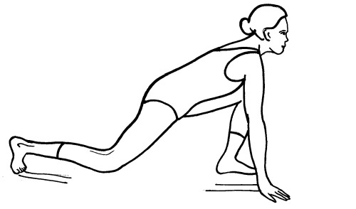 Иллюстрация к книге — Йога для всех. Путь к здоровью [i_270.jpg]