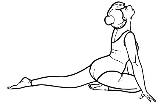 Иллюстрация к книге — Йога для всех. Путь к здоровью [i_289.jpg]