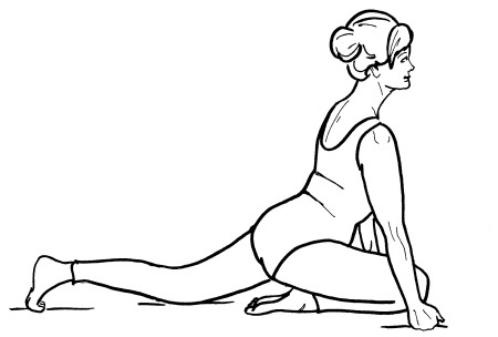 Иллюстрация к книге — Йога для всех. Путь к здоровью [i_290.jpg]