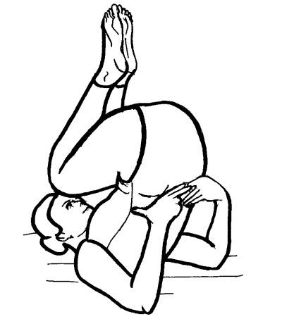 Иллюстрация к книге — Йога для всех. Путь к здоровью [i_297.jpg]