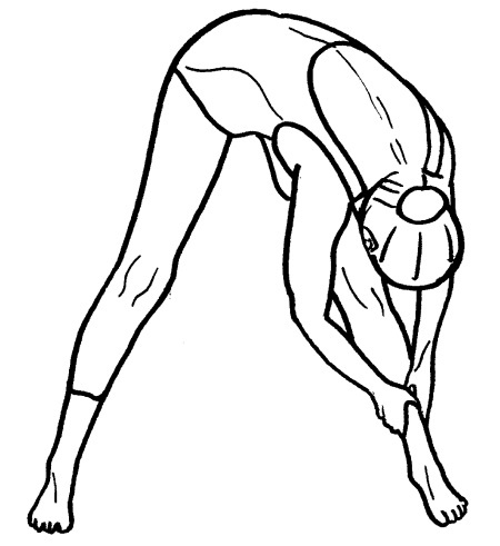 Иллюстрация к книге — Йога для всех. Путь к здоровью [i_307.jpg]