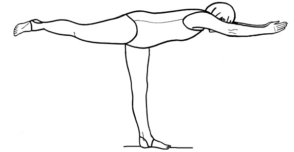 Иллюстрация к книге — Йога для всех. Путь к здоровью [i_332.jpg]