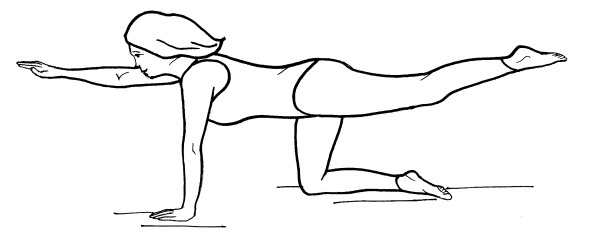 Иллюстрация к книге — Йога для всех. Путь к здоровью [i_335.jpg]