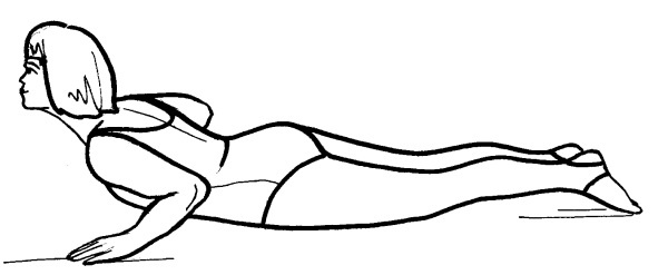 Иллюстрация к книге — Йога для всех. Путь к здоровью [i_375.jpg]