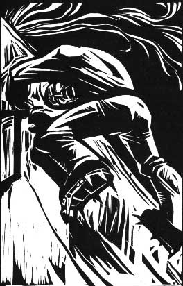 Иллюстрация к книге — В разреженном воздухе [i_028.jpg]