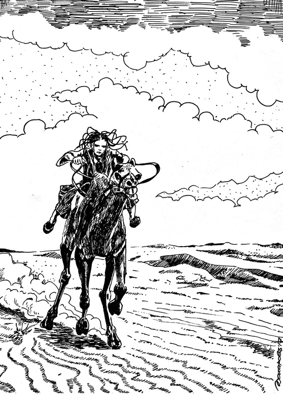 Иллюстрация к книге — Снег над барханами [i_005.jpg]