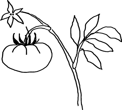 Иллюстрация к книге — Теория везения. Практическое пособие по повышению вашей удачливости [i_037.jpg]