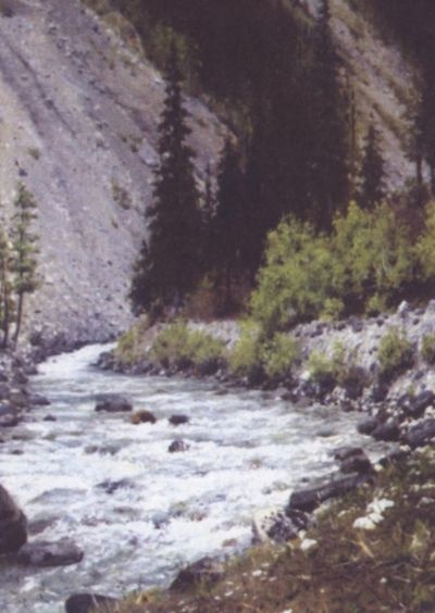 Иллюстрация к книге — Верещагин [i_051.jpg]