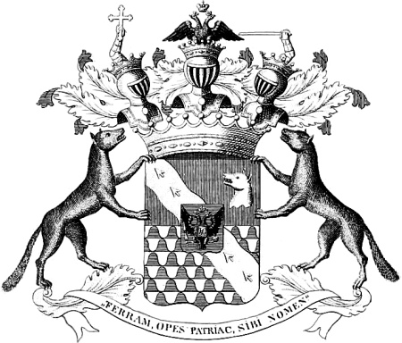 Иллюстрация к книге — Строгоновы. 500 лет рода. Выше только цари [i_001.jpg]