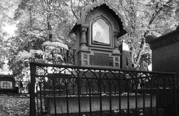 Иллюстрация к книге — Строгоновы. 500 лет рода. Выше только цари [i_110.jpg]