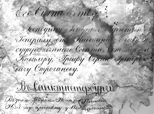 Иллюстрация к книге — Строгоновы. 500 лет рода. Выше только цари [i_155.jpg]