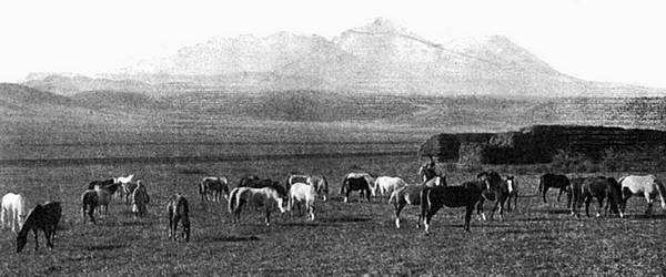 Иллюстрация к книге — Строгоновы. 500 лет рода. Выше только цари [i_203.jpg]