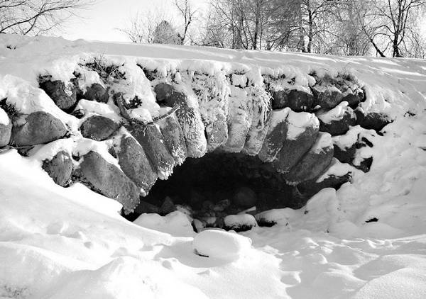 Иллюстрация к книге — Строгоновы. 500 лет рода. Выше только цари [i_306.jpg]