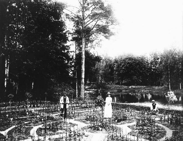 Иллюстрация к книге — Строгоновы. 500 лет рода. Выше только цари [i_358.jpg]