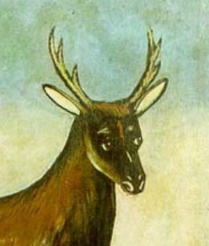 Иллюстрация к книге — Пиросмани [i_005.jpg]