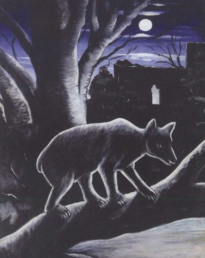 Иллюстрация к книге — Пиросмани [i_063.jpg]