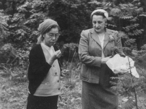 Иллюстрация к книге — Роман Ким [i_056.jpg]