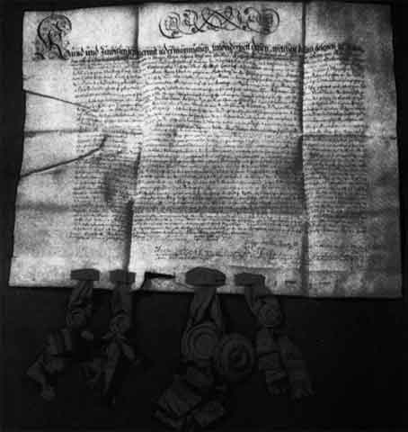 Иллюстрация к книге — Бирон [i_029.jpg]