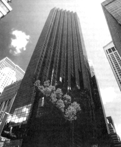 Иллюстрация к книге — Дональд Трамп. Провокация успеха [i_014.jpg]