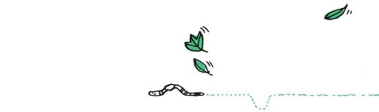 Иллюстрация к книге — Удивительные приключения запредельно невероятной, исключительно неповторимой, потрясающей, ни на кого не похожей Маулины Шмитт. Часть 2. В ожидании чуда [image_63.jpg]