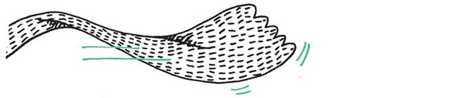 Иллюстрация к книге — Удивительные приключения запредельно невероятной, исключительно неповторимой, потрясающей, ни на кого не похожей Маулины Шмитт. Часть 2. В ожидании чуда [image_84.jpg]