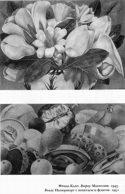 Иллюстрация к книге — Диего и Фрида [leklezio_029.jpg]