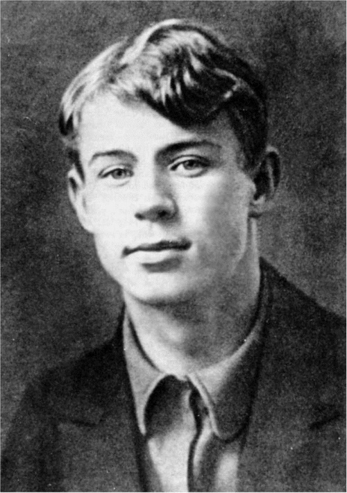 Иллюстрация к книге — Сергей Есенин. Биография [i_034.jpg]