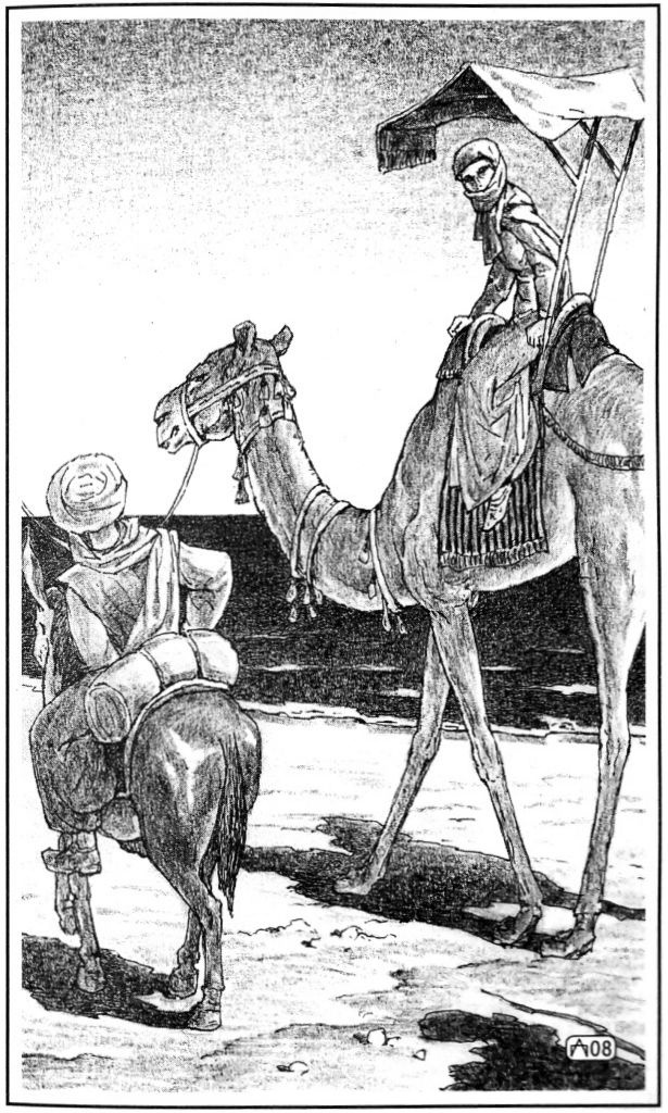 Иллюстрация к книге — Розетта [i_009.jpg]