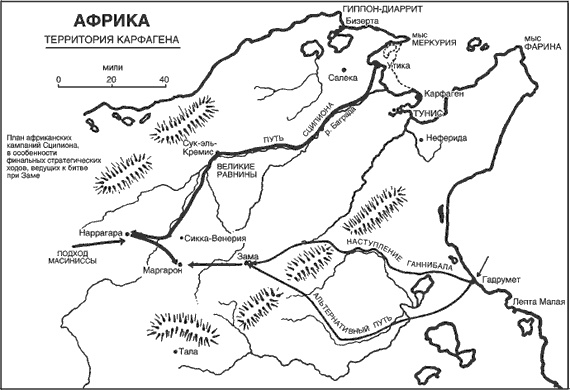 Иллюстрация к книге — Сципион Африканский. Победитель Ганнибала [i_005.jpg]