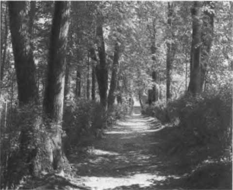 Иллюстрация к книге — Аксаков [i_051.jpg]