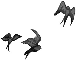 Иллюстрация к книге — Быть сильной 365 дней в году [i_005.jpg]