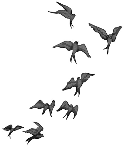 Иллюстрация к книге — Быть сильной 365 дней в году [i_010.jpg]