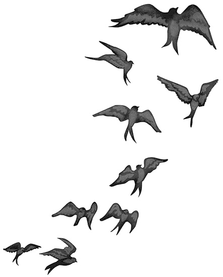 Иллюстрация к книге — Быть сильной 365 дней в году [i_011.jpg]