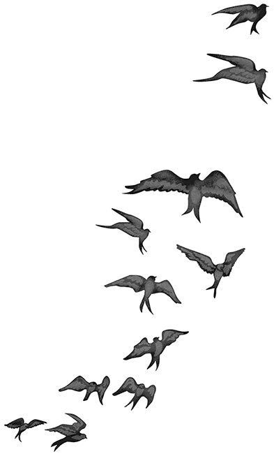 Иллюстрация к книге — Быть сильной 365 дней в году [i_013.jpg]