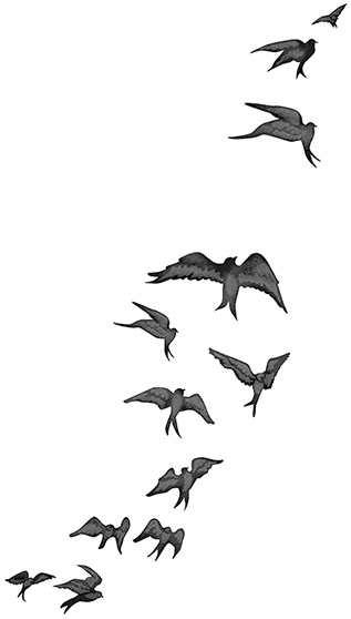 Иллюстрация к книге — Быть сильной 365 дней в году [i_014.jpg]