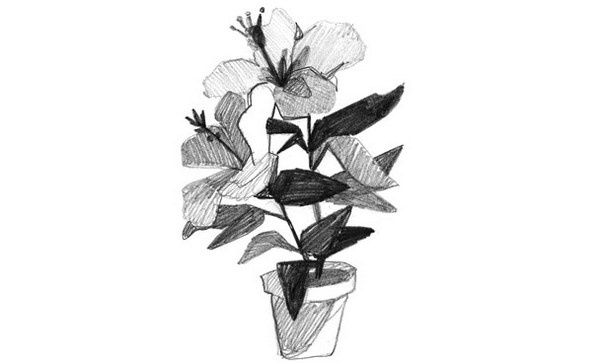 Иллюстрация к книге — Зеленый велосипед на зеленой лужайке [image_24.jpg]