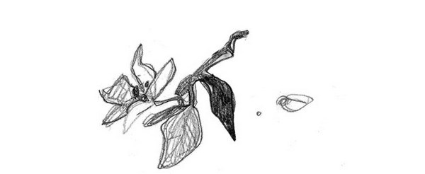 Иллюстрация к книге — Зеленый велосипед на зеленой лужайке [image_26.jpg]