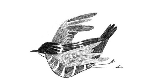 Иллюстрация к книге — Зеленый велосипед на зеленой лужайке [image_4.jpg]