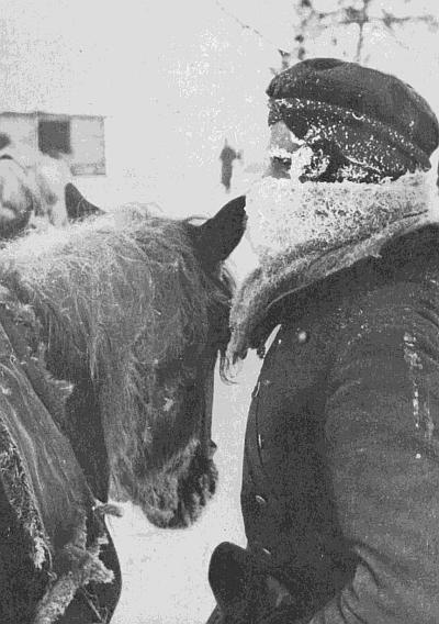 Иллюстрация к книге — Ленинградский фронт [i_038.jpg]