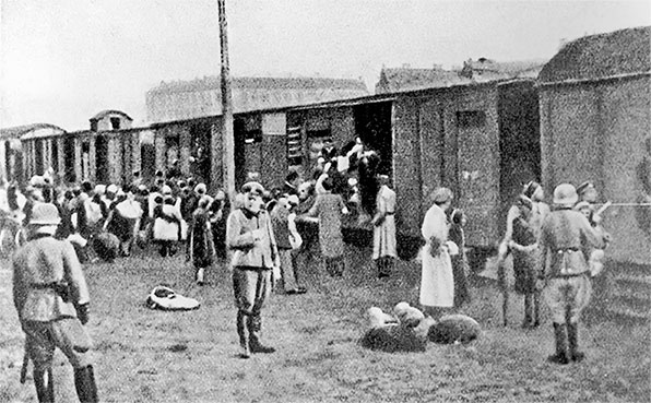 Иллюстрация к книге — Храброе сердце Ирены Сендлер [i_015.jpg]