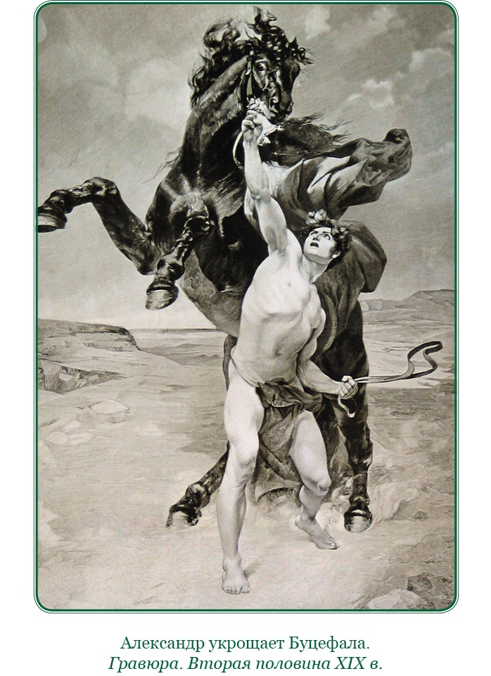 Иллюстрация к книге — О судьбе и доблести [i_003.jpg]