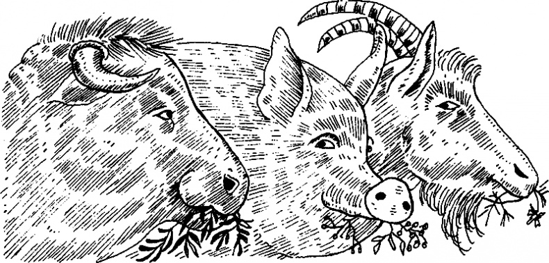 Иллюстрация к книге — Дело о Синей Бороде, или Истории людей, ставших знаменитыми персонажами [i_013.jpg]